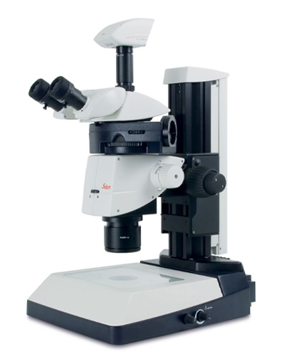 microscopio ottico binoculare